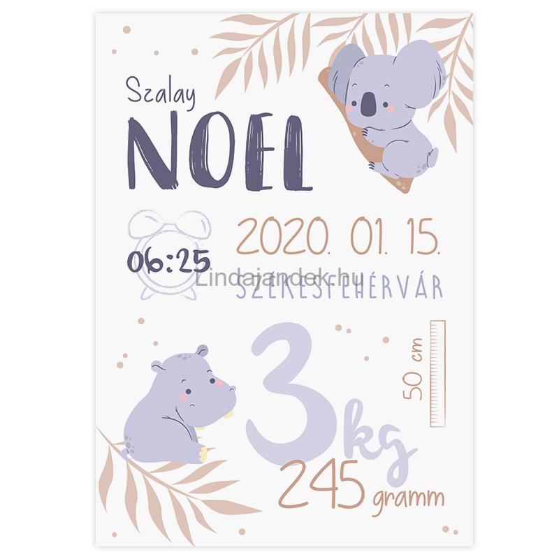 babaposzter koala