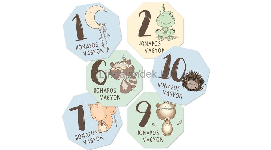 fiesta részvény matrica